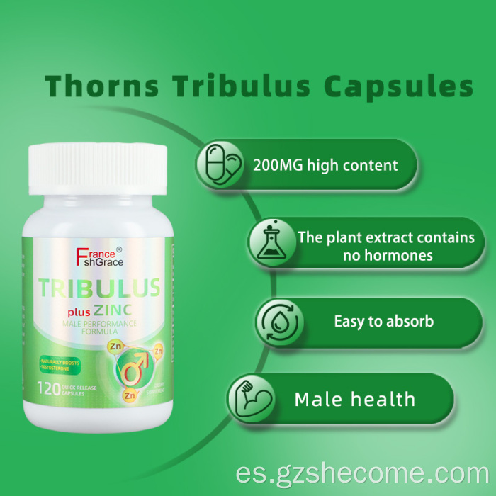 Cápsulas de Tribulus de alta calidad para la absorción mejorada de los hombres